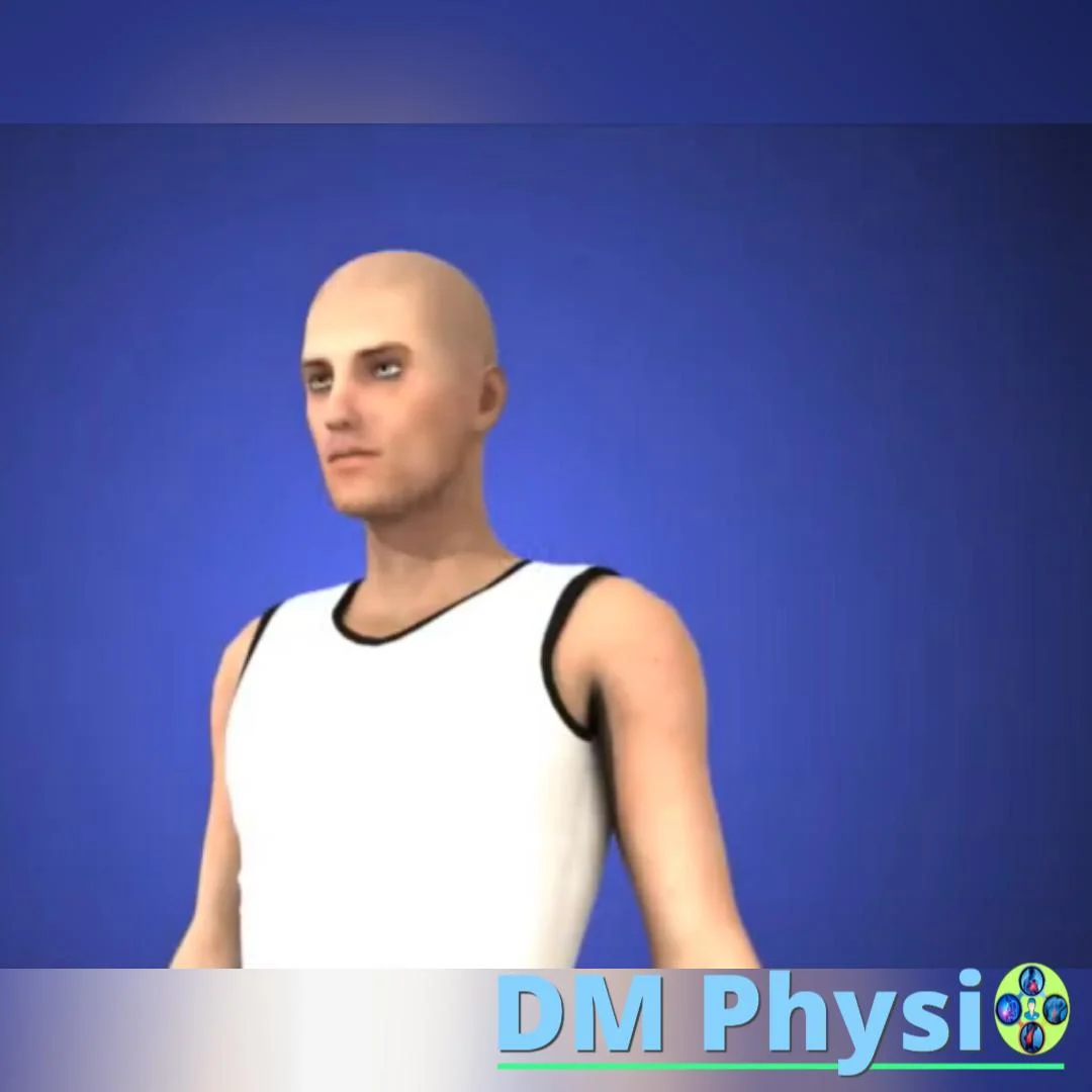 Анатомия на торакалния канал